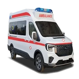 Medical Emergency Ambulance Customization Guide