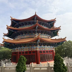 Healing China: The North-South TCM Expedition